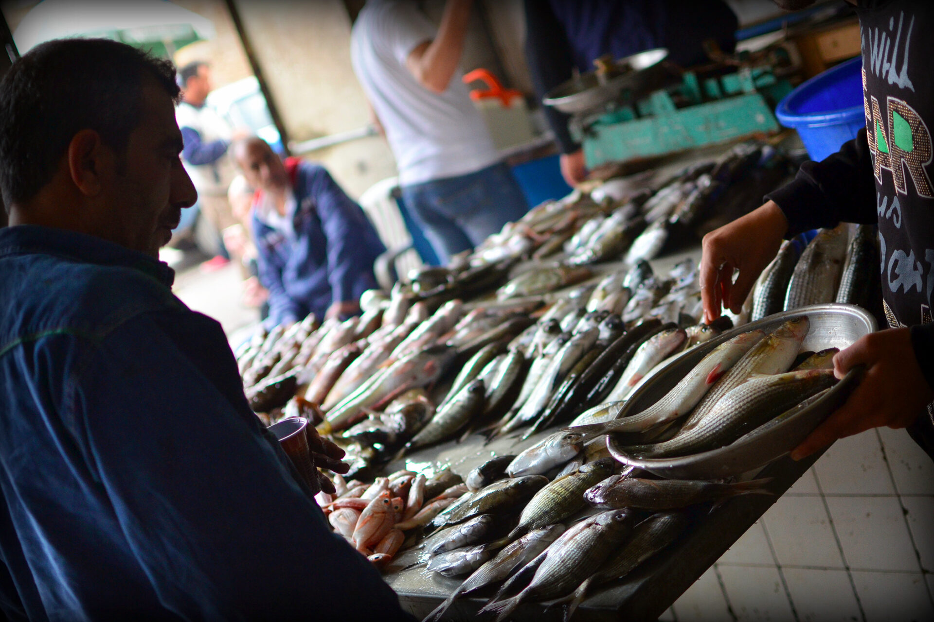 Marché aux poissons à Tripoli, Liban