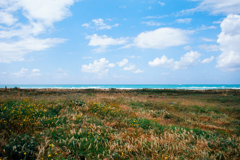 Transfer from Beirut airport to Tyre, Lebanon