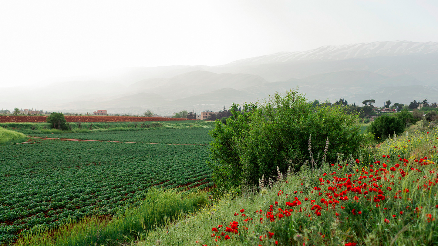 Agritourism and ecotourism in Lebanon